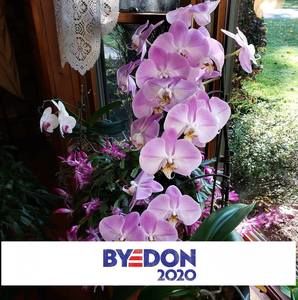 Meet your Posher, Carol